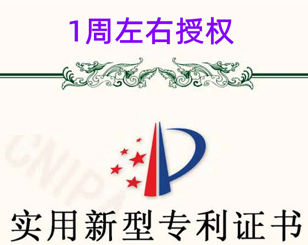 实用新型专利授权示例