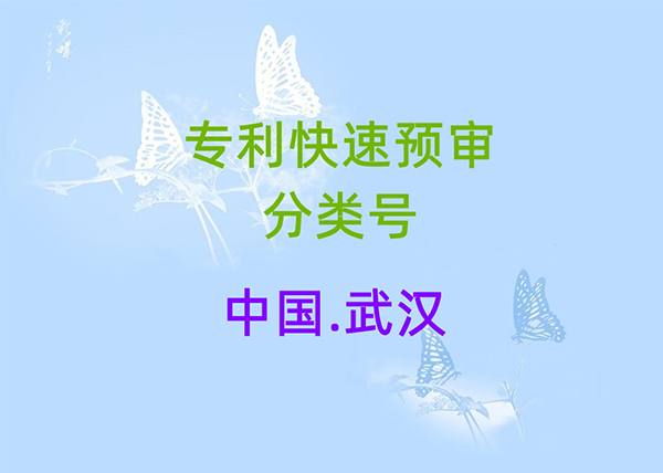中国（武汉）知识产权保护中心